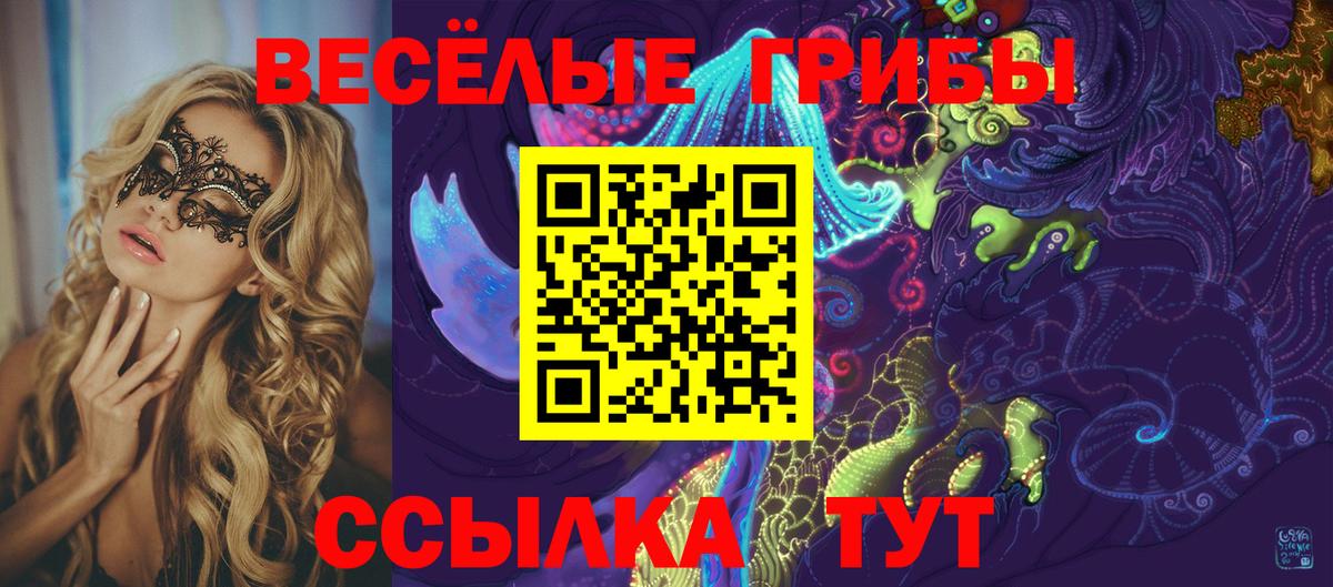 Псилоцибиновые грибы Psilocybine cubensis Мценск